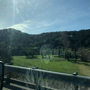 Meet your Posher, Chelsea